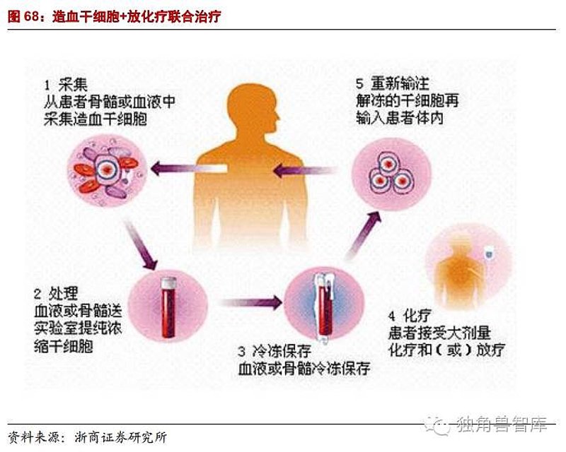 细胞治疗技术在现代医疗行业的革新之旅