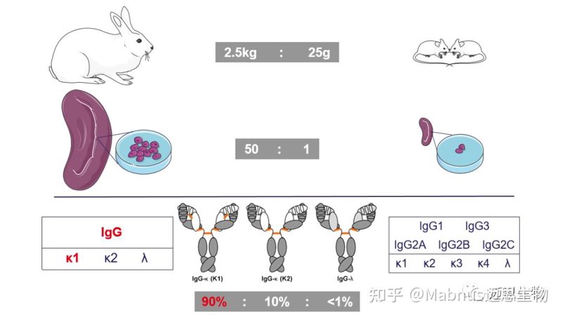 生物科研服务